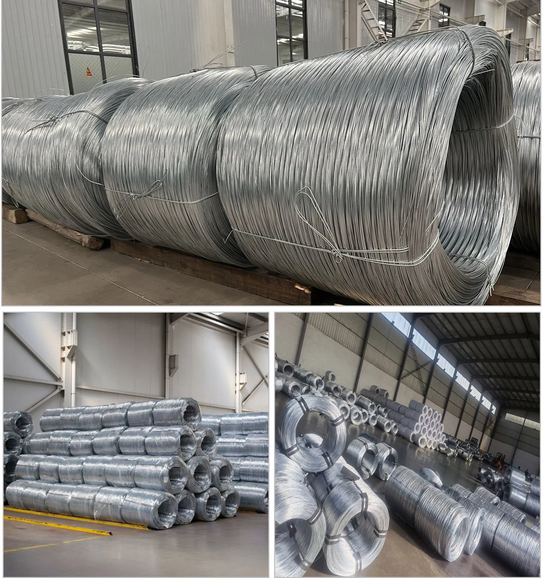 Hot Dipped Steel Galvanized Wire 1.5mm to 7 mm PVC Coated Stainless Steel Galvanized Iron Wire of Factory Price