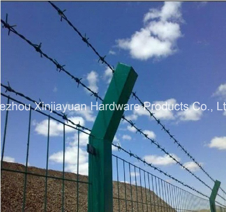 Hot Sale Galvanized or PVC Coated Barbed Wire for Fence