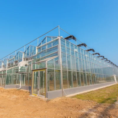 Glass/Multi-Span Greenhouse with Irrigation Hydroponic System for Strawberry/Vegetables/Flowers/Tomato/Pepper