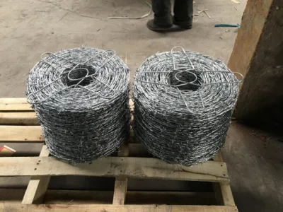 Hot Sale Galvanized or PVC Coated Barbed Wire for Fence