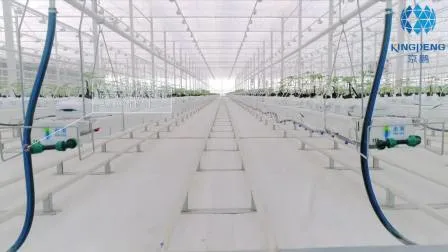 Venlo Tempered/Floated 4mm/5mmglass Multi-Span Greenhouse for Agriculture